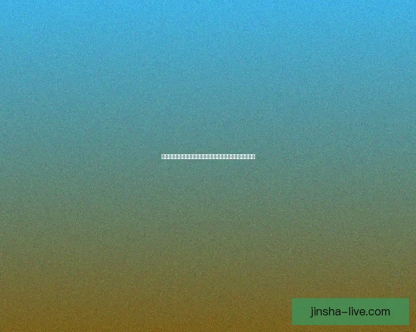 多特蒙德锁定红牛十九岁新星中卫加杜交易今日完成战术观察